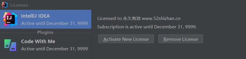 [免费] 2023 IntelliJ IDEA激活码，亲测有效，win与mac均可用免费使用插图