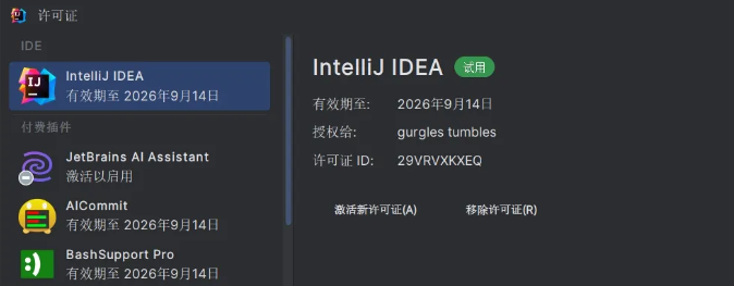 [破解] JetBrains全家桶破解2018-2024版本详细操作步骤与教程插图1